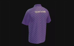 SCJ32 Purple Chevron - A & B — 360° spin