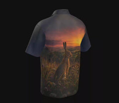 Hare's Golden Hour - MTOA — 360° spin