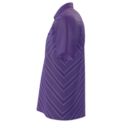 SCJ32 Purple Chevron - A & B — side-left
